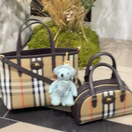 Burberry Brown 18x12cm shoulder bag Top Quality Replica