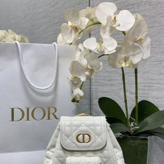 Dior Caro White backpack — AAA Quality Replica
