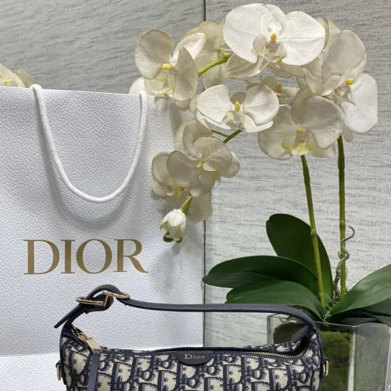 Dior NomaD Blue Oblique crossbody AAA Quality Replica
