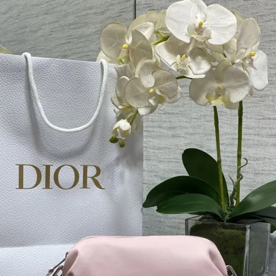 Dior Pink small crossbody AAA Quality Replica