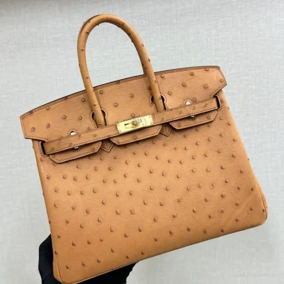 Hermes Birkin 25 Tan Ostrich 25 everyday — AAA Quality Replica