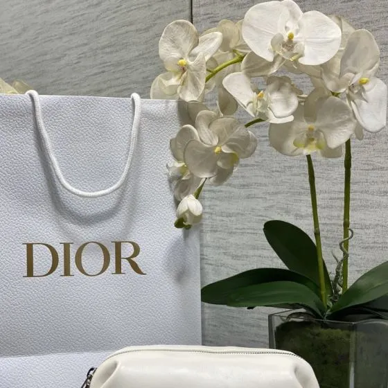 Dior White small shoulder Top Quality Replica