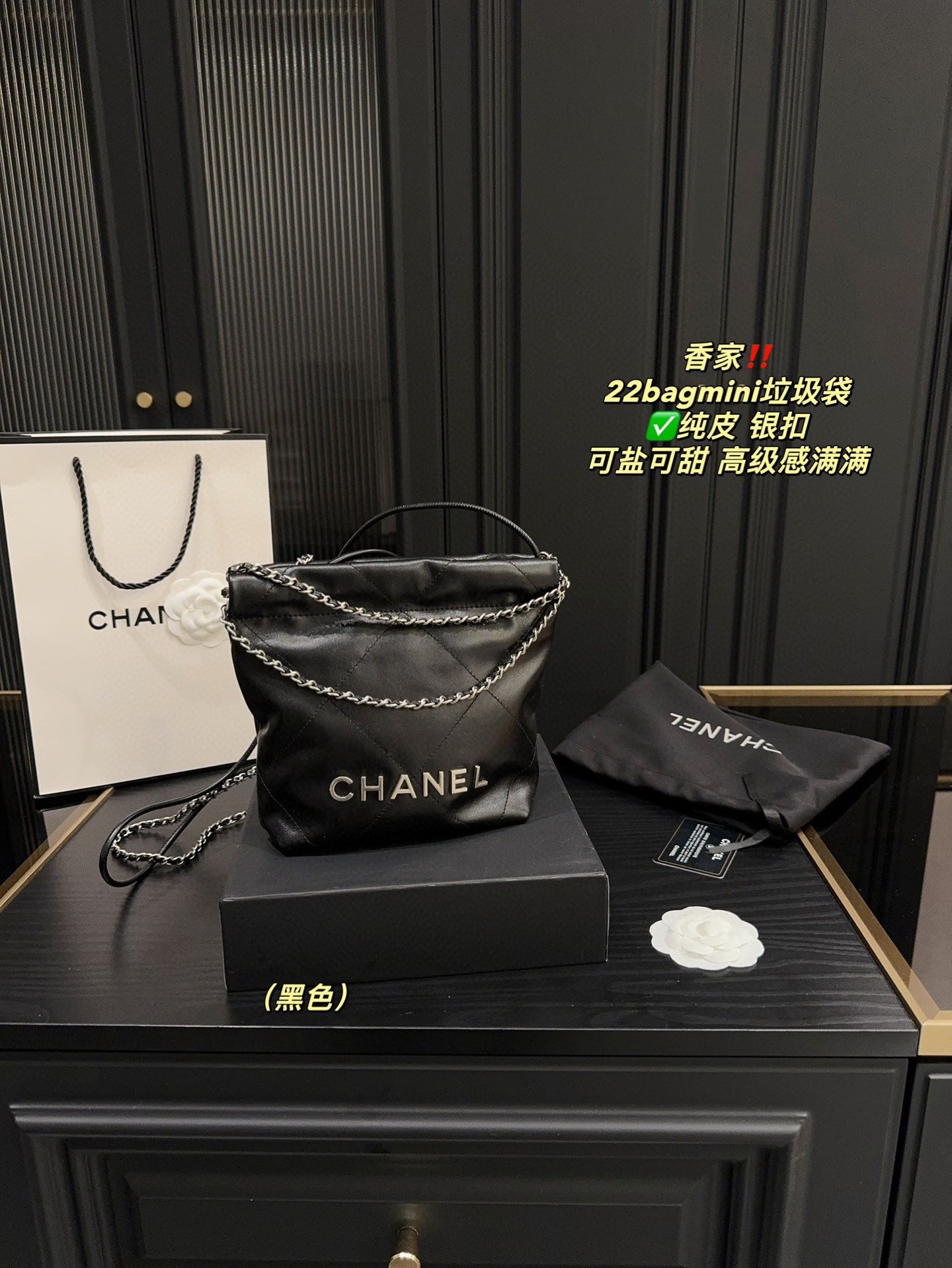Chanel 22 bag mini Black mini crossbody everyday