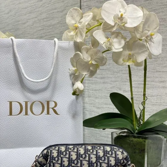 Dior Navy Blue Beige Oblique small crossbody AAA Quality Replica