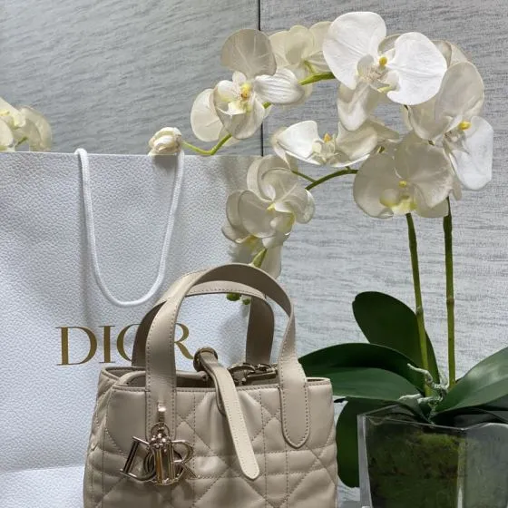 Dior Toujours Beige tote 1 1 Replica