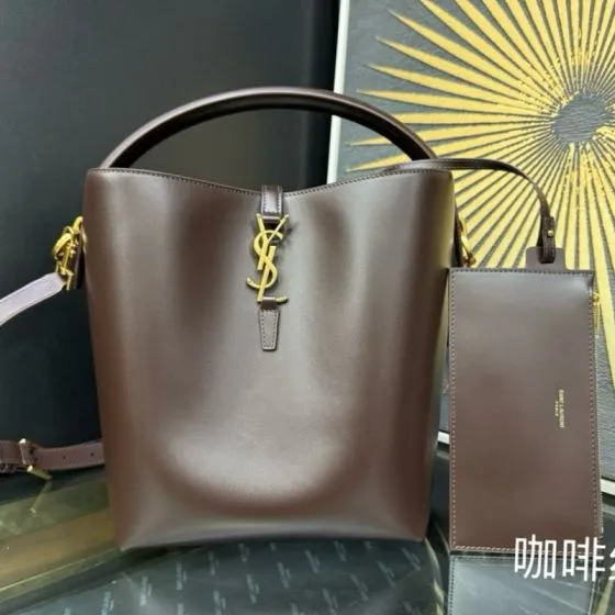 Saint Laurent 20x25x16cm everyday