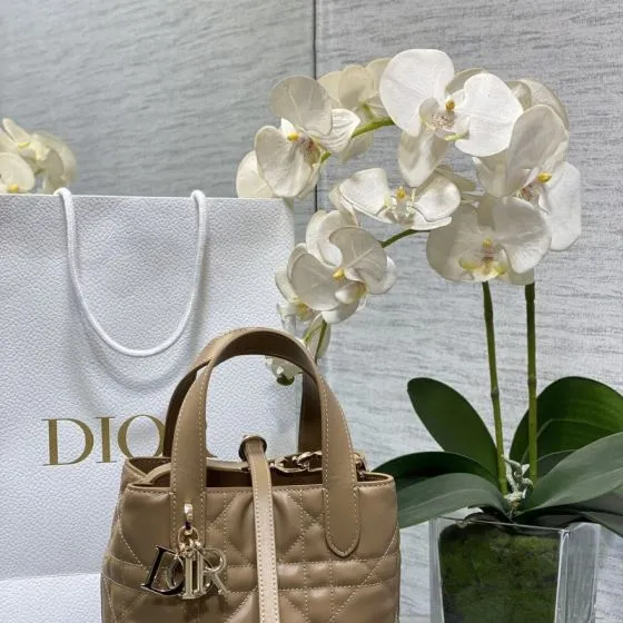 Dior Toujours Beige shoulder 1 1 Replica