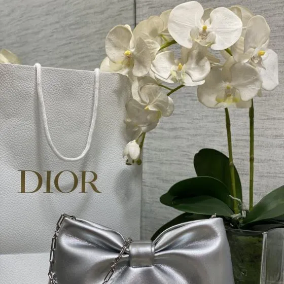 Dior Silver evening Top Quality Replica