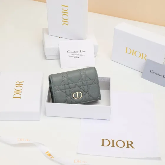 Dior Gray everyday Premium Replica