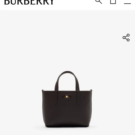 Burberry 18x12cm shoulder bag 1 1 Replica
