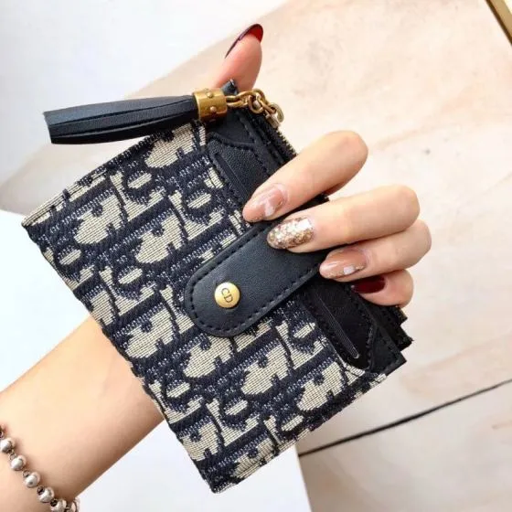 Dior Oblique Navy Beige card holder Premium Replica