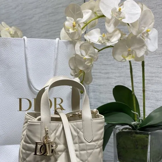 Dior Toujours Beige tote AAA Quality Replica