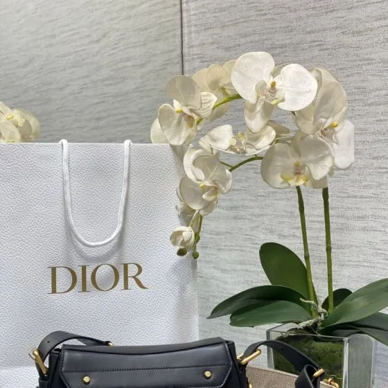 Dior New Street Chic Black crossbody Premium Replica