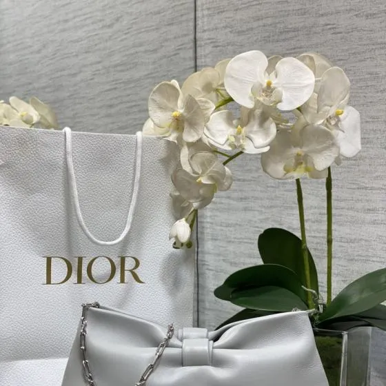 Dior Light Gray evening Top Quality Replica