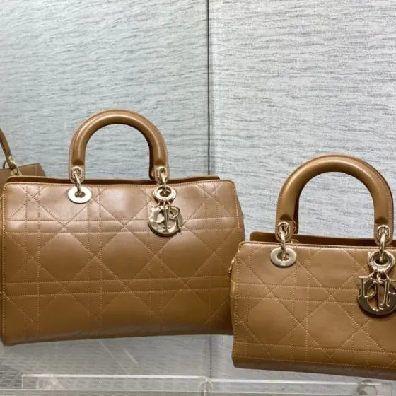 Dior Lady Cognac Brown handheld AAA Quality Replica