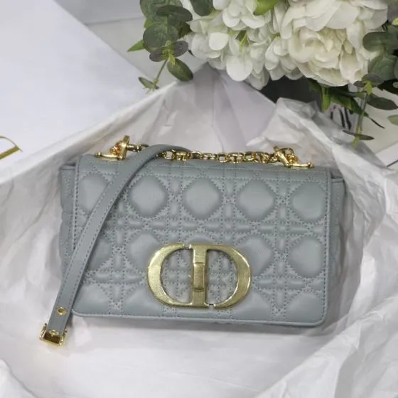 Dior Grey crossbody Premium Replica