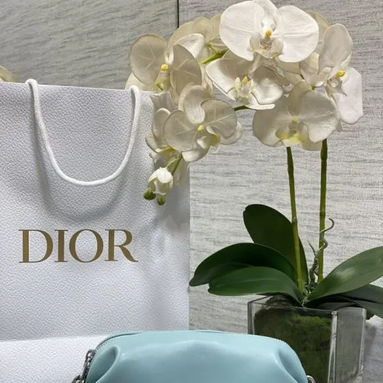 Dior Blue small crossbody — Top Quality Replica