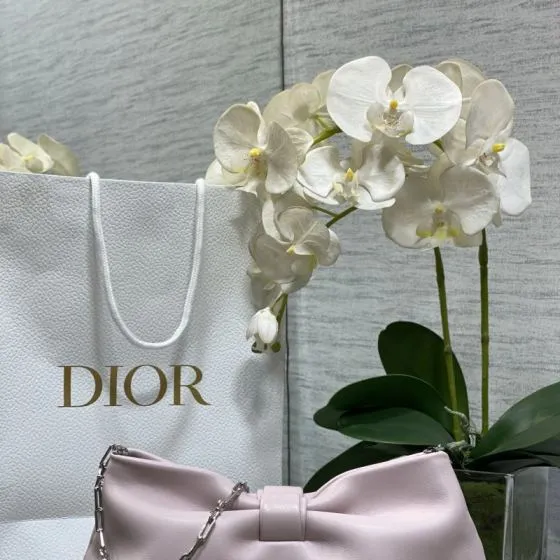 Dior Light Pink shoulder Premium Replica