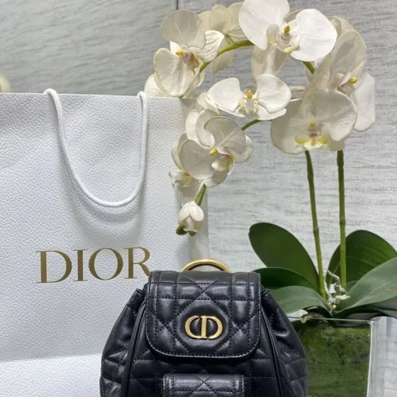 Dior Caro Black backpack — Top Quality Replica