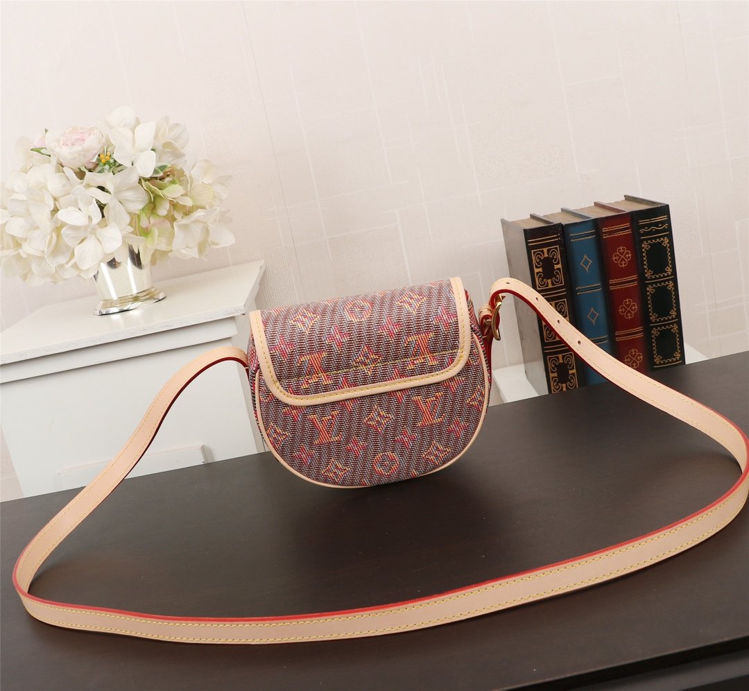 LV bag — practical uses 22ea94 photo 1