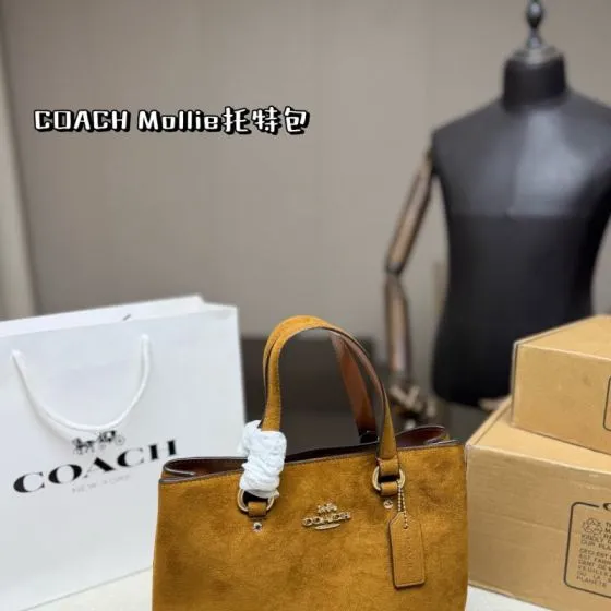 Coach Brown shoulder bag AAA Quality Replica