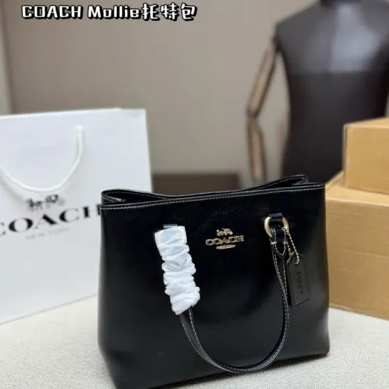 Coach Mollie Black Brown 24cm tote AAA Quality Replica