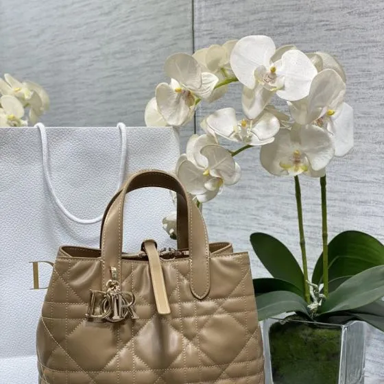 Dior Toujours Beige everyday AAA Quality Replica