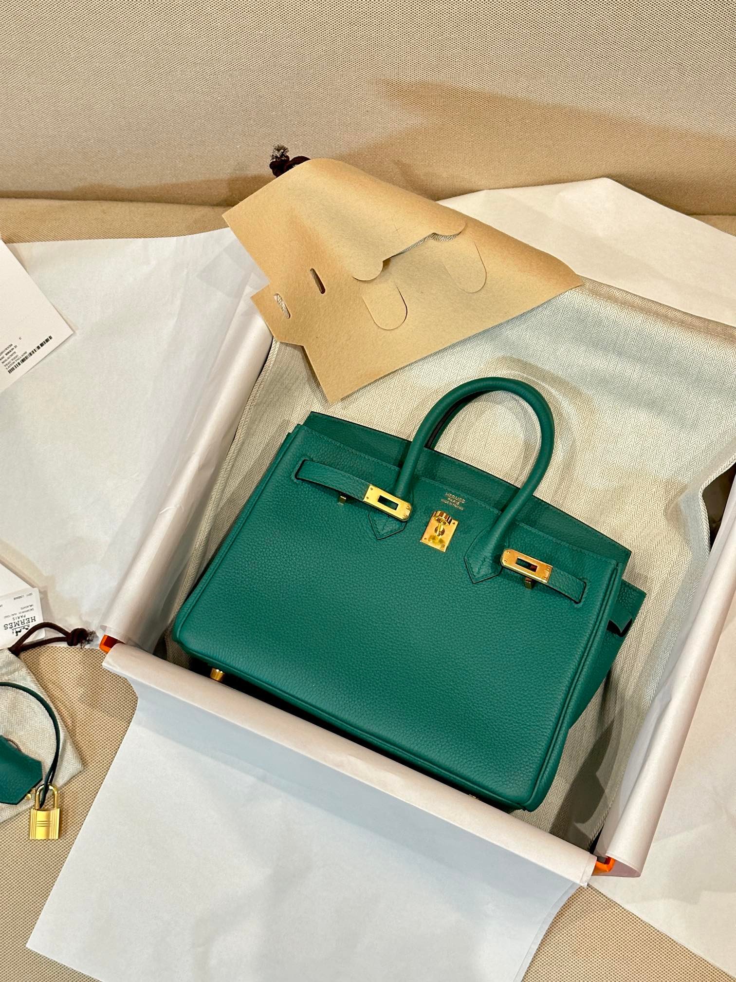 Hermes Birkin 25 Green Togo 25 handbag everyday