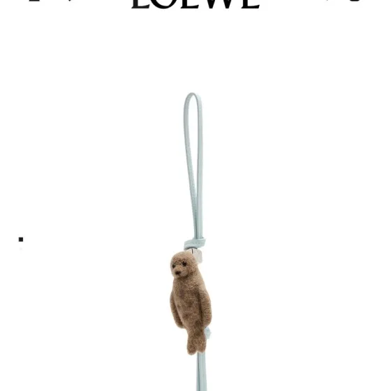 Loewe Brown shoulder bag 1 1 Replica