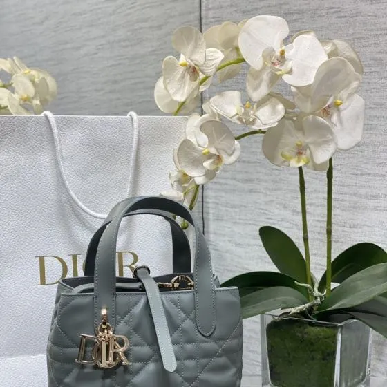 Dior Toujours Grey shoulder AAA Quality Replica