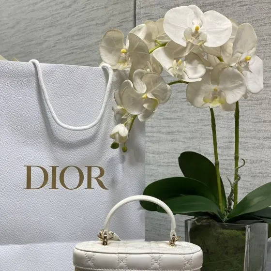 Dior New Bow Cosmetic Bag White everyday Top Quality Replica