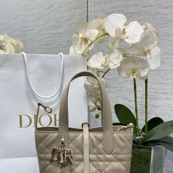 Dior Toujours Vertical Beige tote Premium Replica