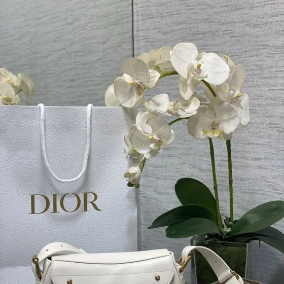 Dior New Street Chic White crossbody Premium Replica