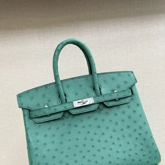Hermes Birkin Turquoise ostrich 25 everyday — 1:1 Replica