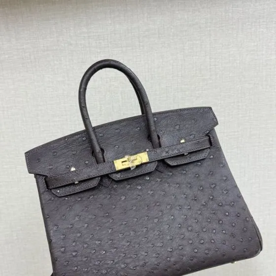 Hermes Birkin 25 Dark Brown Ostrich 25cm everyday — 1:1 Replica