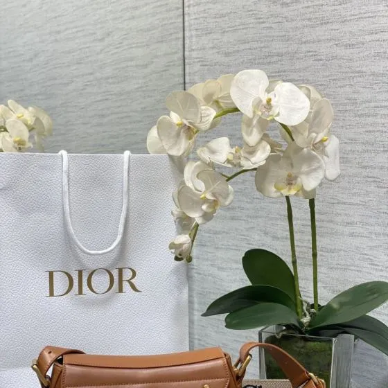 Dior Street Chic Tan shoulder Premium Replica