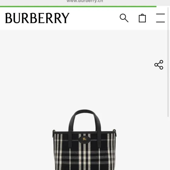 Burberry Black 18x12cm shoulder bag Premium Replica