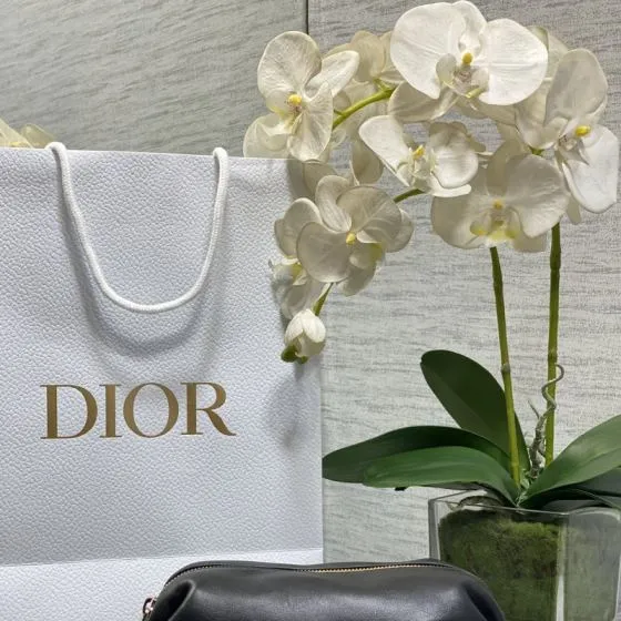 Dior Black small crossbody — Premium Replica
