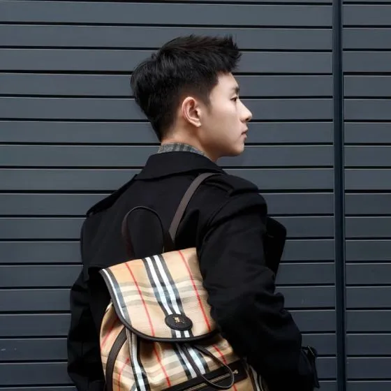 Burberry Brown shoulder bag Premium Replica