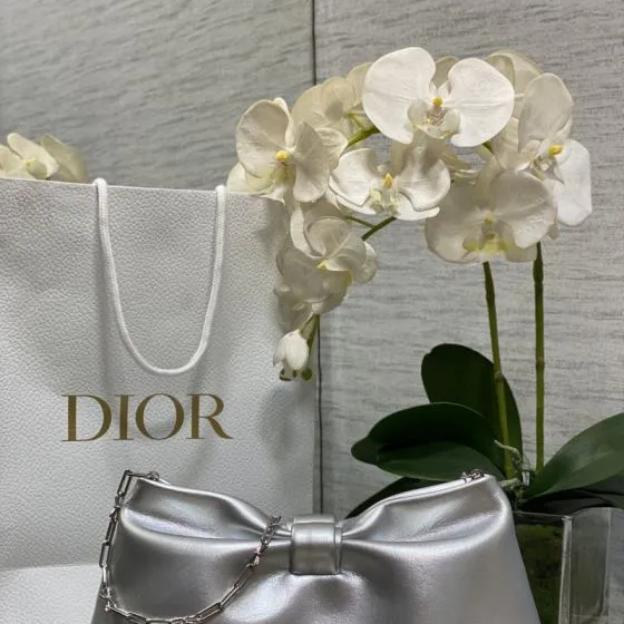 Dior Silver shoulder Premium Replica