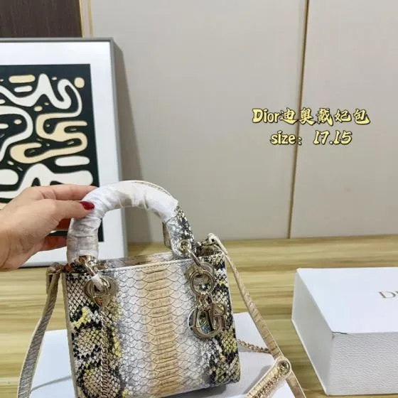 Dior Python print 17 15 crossbody Premium Replica