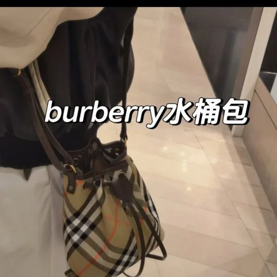Burberry Brown 25x18x10cm shoulder bag 1 1 Replica