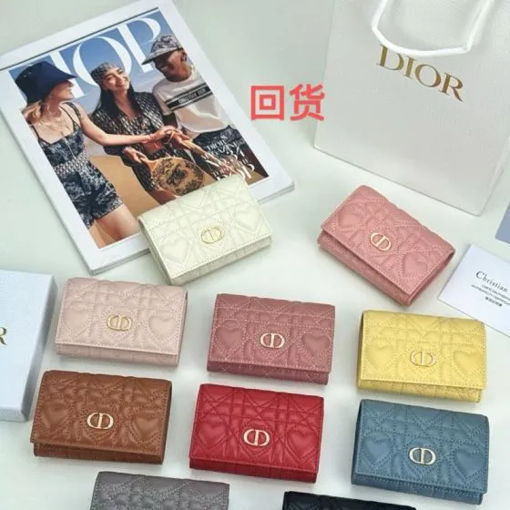 Dior Caro Glycine assorted colors small everyday — Top Quality Replica