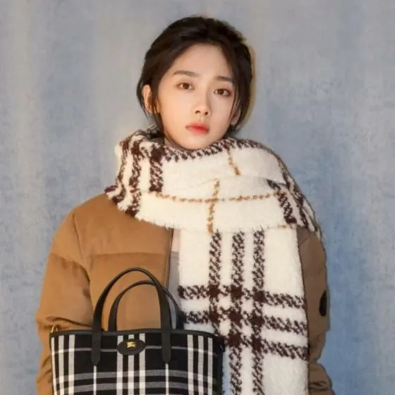 Burberry Black 18x12cm shoulder bag 1 1 Replica