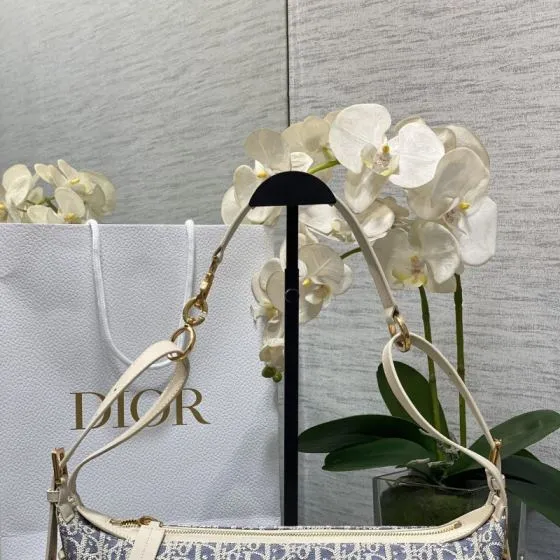 Dior Blue and beige Oblique canvas shoulder — AAA Quality Replica