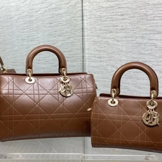 Dior Lady Brown handbag 1 1 Replica