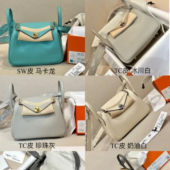 Hermes Mini Lindy Multiple colors mini shoulder Premium Replica