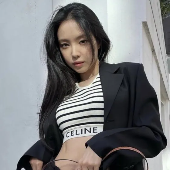 Celine TRIOMPHE shoulder bag AAA Quality Replica