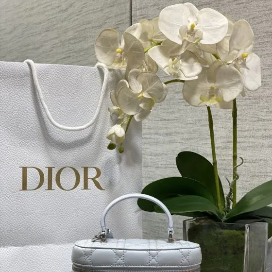 Dior Lady White crossbody 1 1 Replica