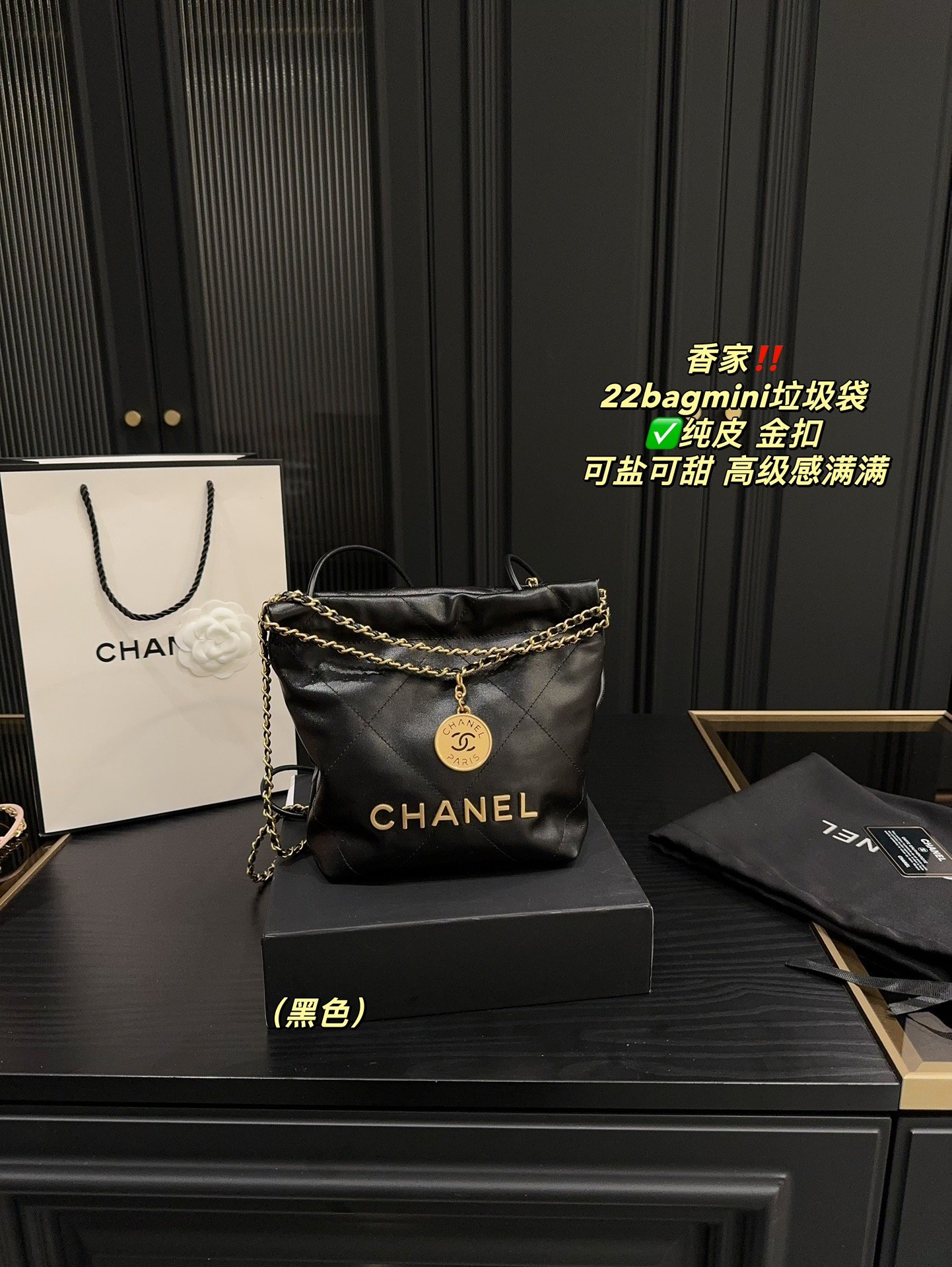 Chanel 22 Bag Black mini shoulder everyday